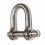 Shackle - PEWAG Rated Stainless Screw Pin