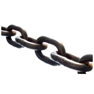 10mm x 40P AMG ML FOW Chain S/C | Feed Out Wagon Chain | AGRI Convayor Chain & Sprocket