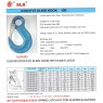 Eye Sling Hook - SLR G100 c/w Cast Latch