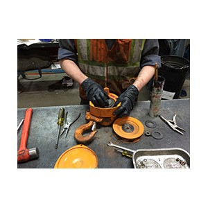 Inspection - Service Manual Hoist (Per Item) | Tags & Product Inspection