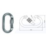 QSI Steel Screwgate Karabiner